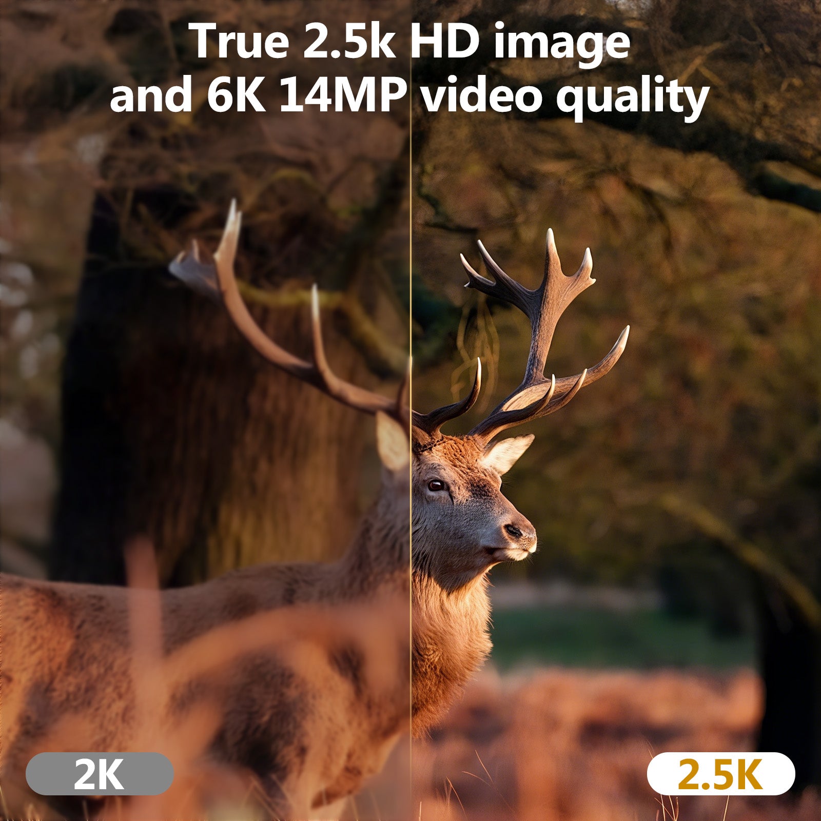 Noahtec 4G LTE Cellular Trail Camera